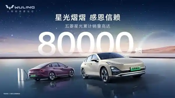 五菱星光家族创下新纪录：年轻用户占比超半，销量突破10万！