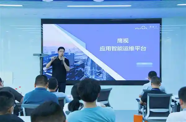 鼎峯云9年跨越巅峰，成功摘下双11首单