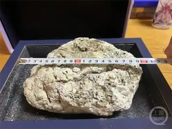 【海边惊现神秘灰白石块！专家称或价值百万！】