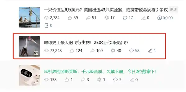 揭秘：250公斤重的翼龙如何实现飞翔？