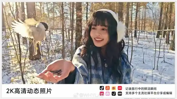 荣耀300系列引领全新摄影潮流：全空间单反级虚化，超越传统摄影界限