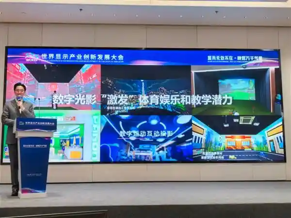 数字科技助力文旅创新 爱普生携手2024世界显示产业创新发展大会共谱新篇