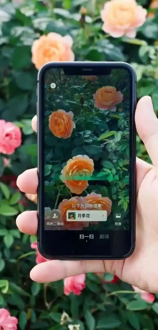 微信AI新功能大揭秘：告别搜索引擎，2024年三大黑科技助你事半功倍!