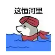 15岁的B站：科技品牌们的新宠儿？