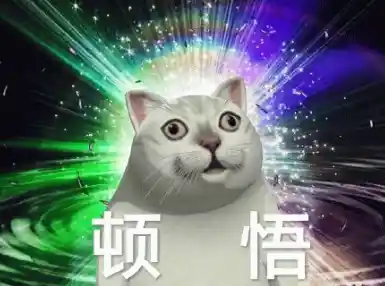 15岁的B站：科技品牌们的新宠儿？