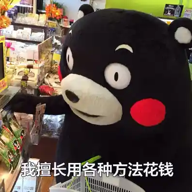 15岁的B站：科技品牌们的新宠儿？