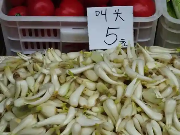探秘神秘蔬菜：荸荠、蕺菜、藠头，你吃过几种？