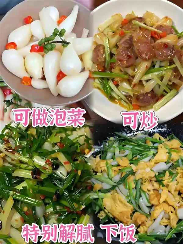 探秘神秘蔬菜：荸荠、蕺菜、藠头，你吃过几种？