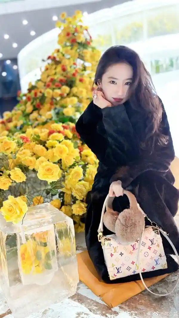 刘亦菲惊艳亮相哈尔滨！冰封黄玫瑰等你来解锁冻美奇迹