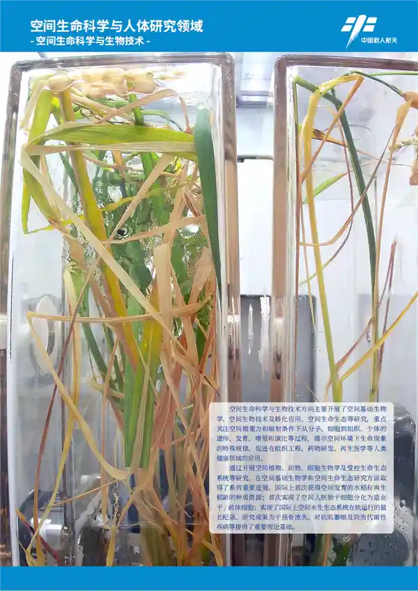 划时代！中国空间站发布181项科学应用项目，数据量突破300TB！