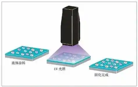 美甲界的新风向：曾经热衷的人们如今走向何方？