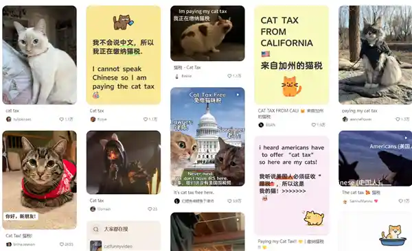 美国网友涌入小红书，掀起猫税话题热潮，3000篇话题笔记火爆上线