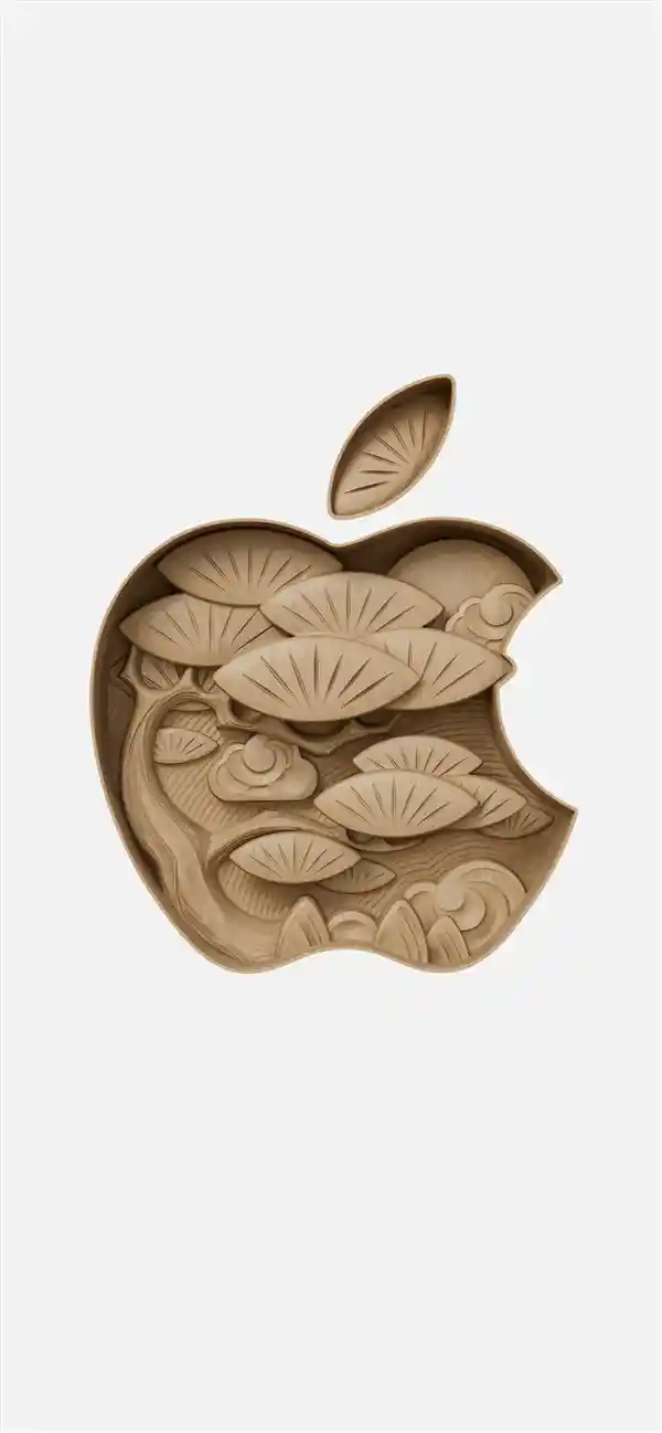 合肥万象城即将迎来安徽首家Apple Store盛大开幕！