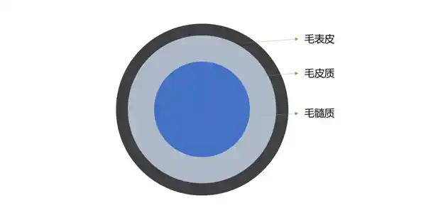 惊呆了！烫头发和蒸馒头居然有相同的工作原理？