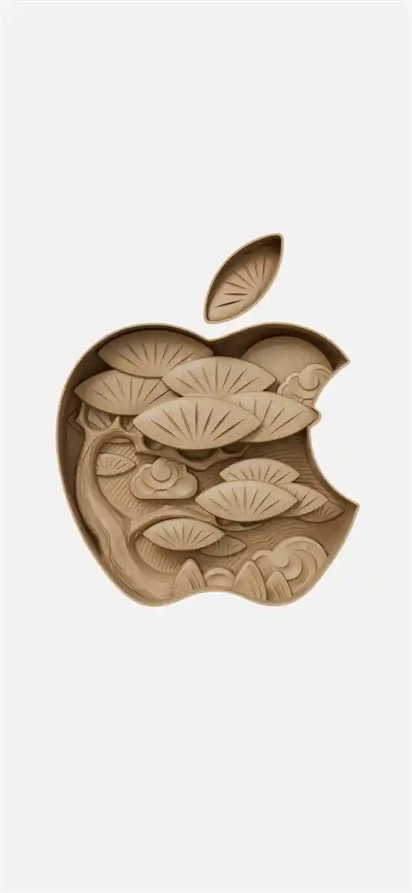 合肥万象城迎来Apple Store首店开业盛典