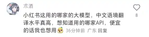 小红书推出全新翻译功能，轻松翻译YYDS、U1S1等网络语言！