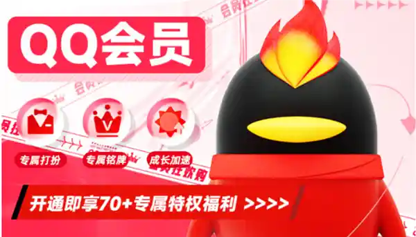VIP专享：年货节狂欢，会员服务2折起！