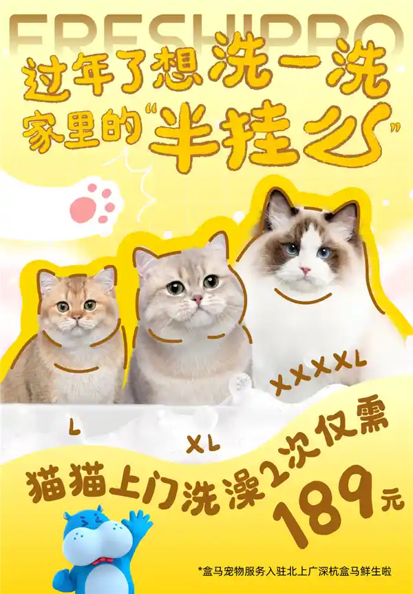 盒马春节推出宠物美容服务，铲屎官们的福利来啦！