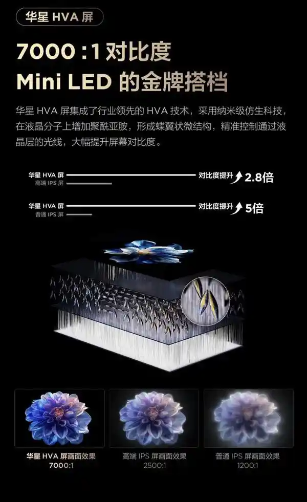 过年宅家不怕错过春晚！这个神器让你轻松观看！