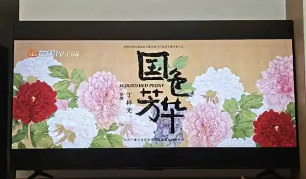 过年宅家不怕错过春晚！这个神器让你轻松观看！