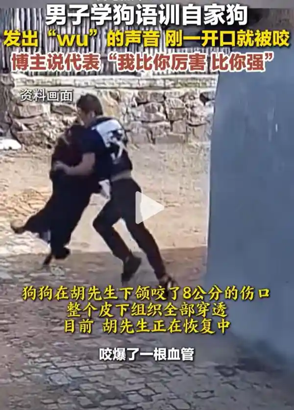 惊险！男子学会狗语驯狗，结果一开口竟被狗咬穿脸