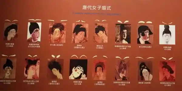 撒贝宁浓密眉毛引爆热议！揭秘为何眉毛成为关注焦点