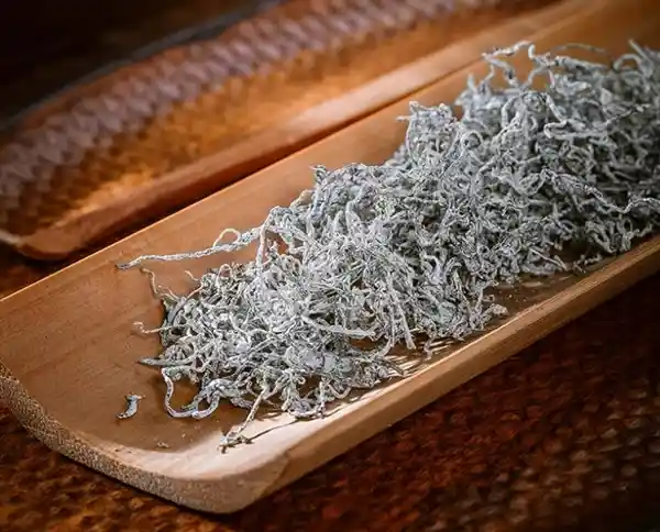 尝鲜必备！张家界芽尖莓茶新鲜上市，清香四溢，让你体验独特茶香