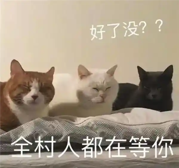 探秘罗永浩最新创业项目，惊喜连连让人难以抗拒