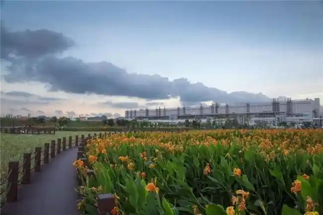 TCL科技荣获CDP领跑水安全领域A-级别评分