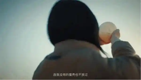 鸵鸟毛绸新宠：抖音创作者打开养殖业新天地